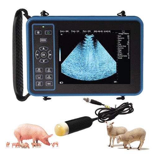 Vet ultrasound system - ultrasound,