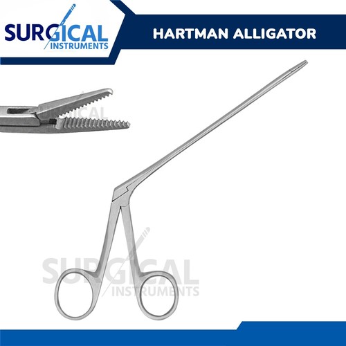 Alligator forceps surgical - forceps, &